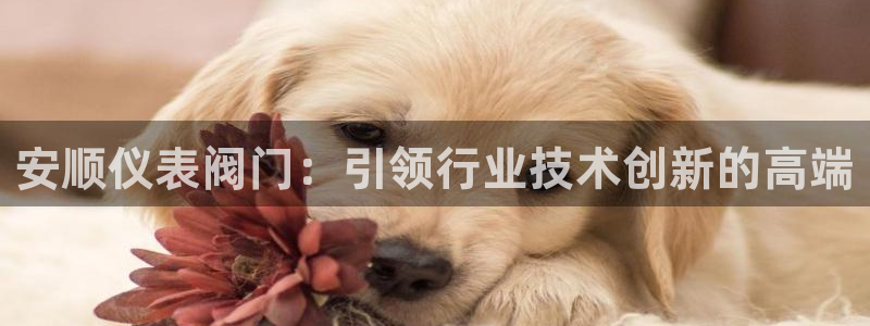 盈顺休闲娱乐室门票