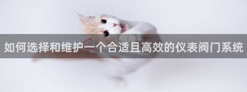 顺盈娱乐下载手机版