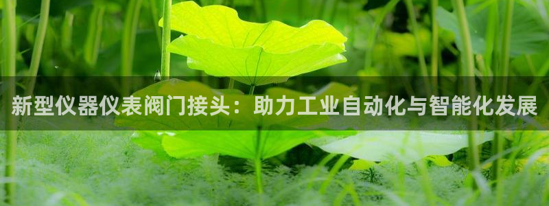 顺盈娱乐主管=天神779O3