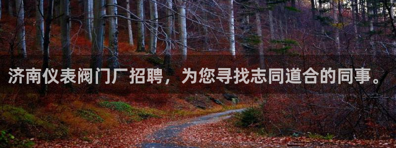 清远顺盈娱乐公司推荐