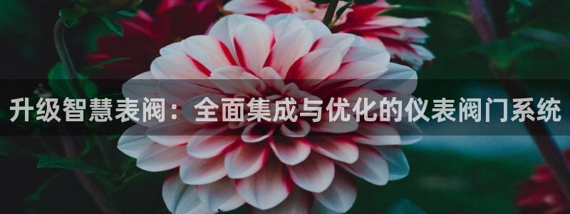 顺盈娱乐下载官网地址