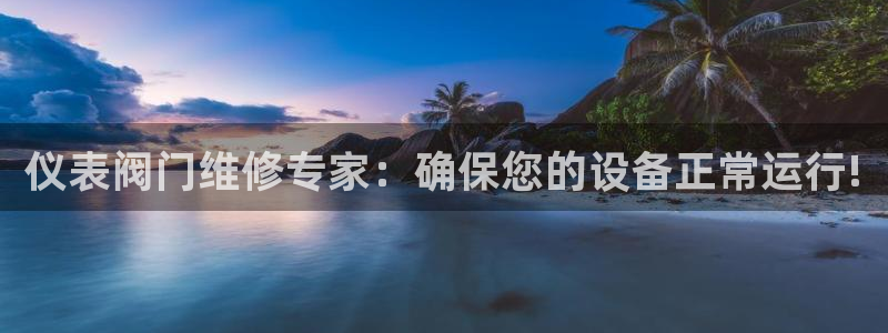 顺盈娱乐 找86555