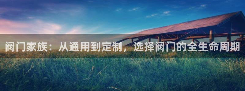 顺盈娱乐最高代理人