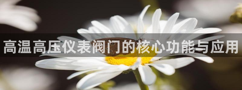 顺盈娱乐计究7276O