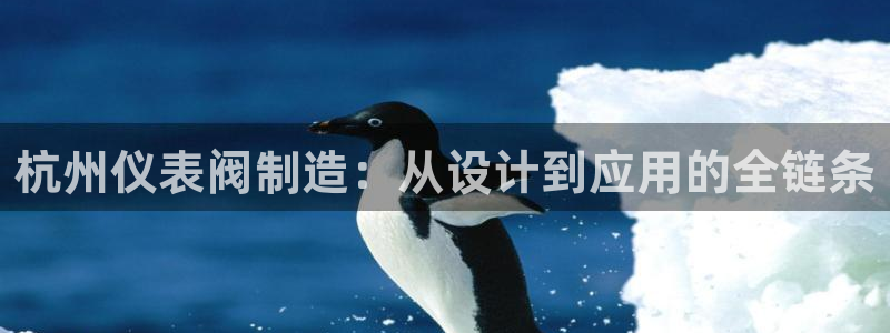 顺盈娱乐猪