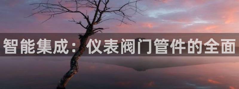 顺盈娱乐下载app