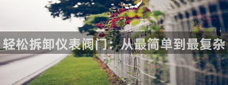 顺盈娱乐平台代理多少钱