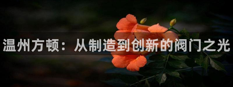 顺盈娱乐代理怎么样知乎