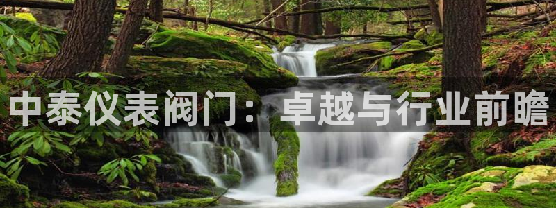 顺盈娱乐主管