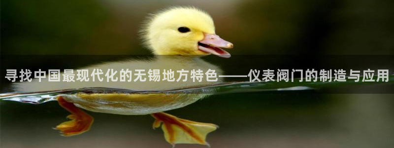 顺盈娱乐主管后原判官333OO