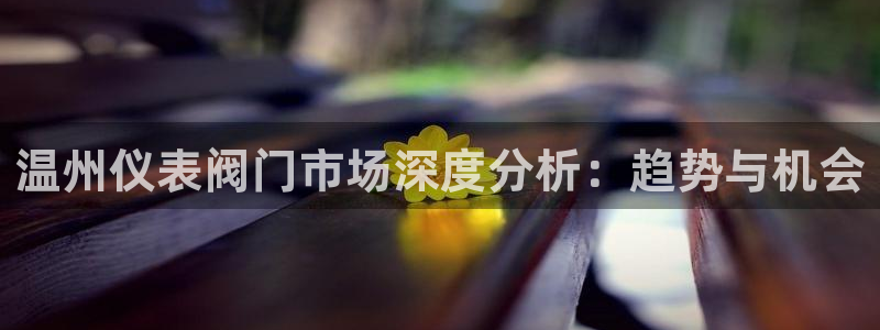顺盈娱乐主管劳判官333OO