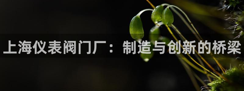 盈顺棋牌娱乐室地址