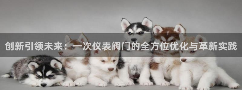清远顺盈游戏娱乐